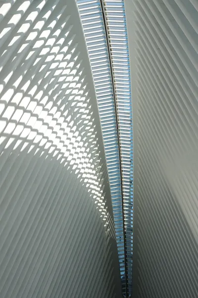 Light's Graceful Fin