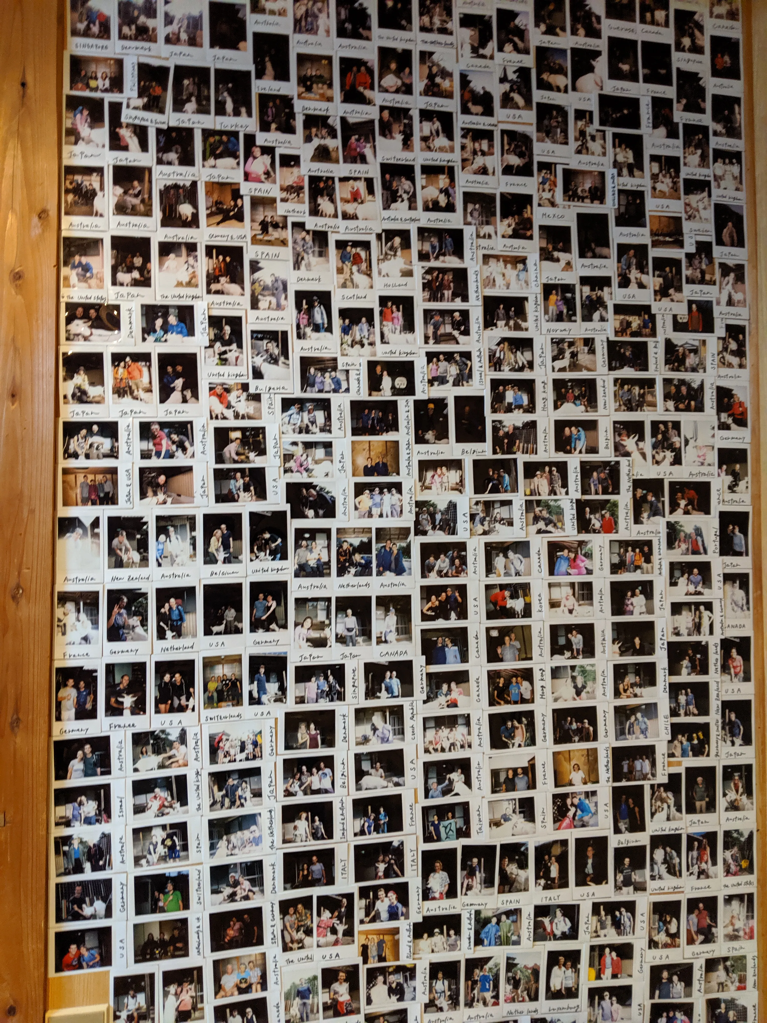 貼滿從世界各地來的朝聖者拍立得的牆